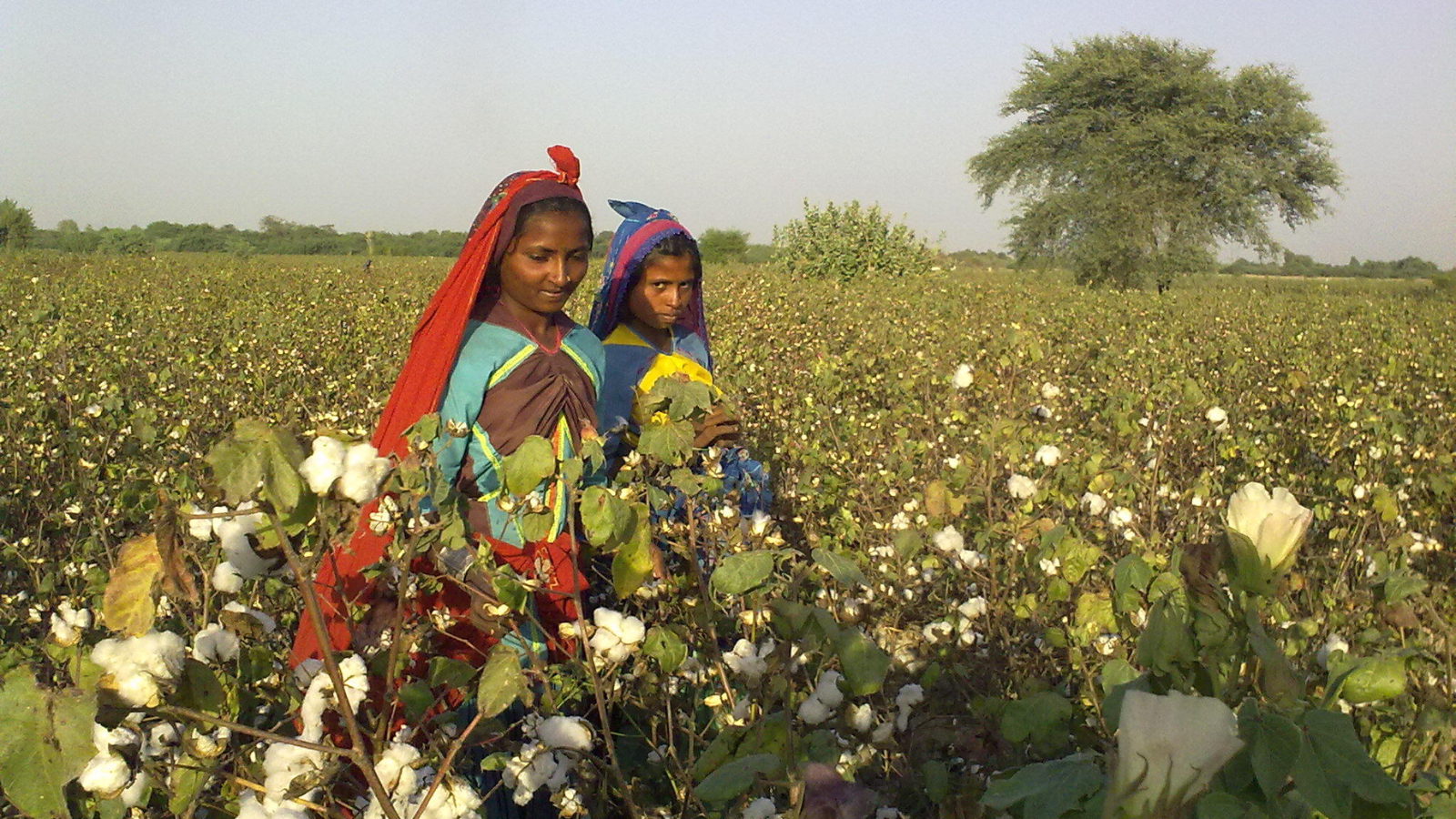 ­­Mission Rosary 9-13 March: For the women of the world